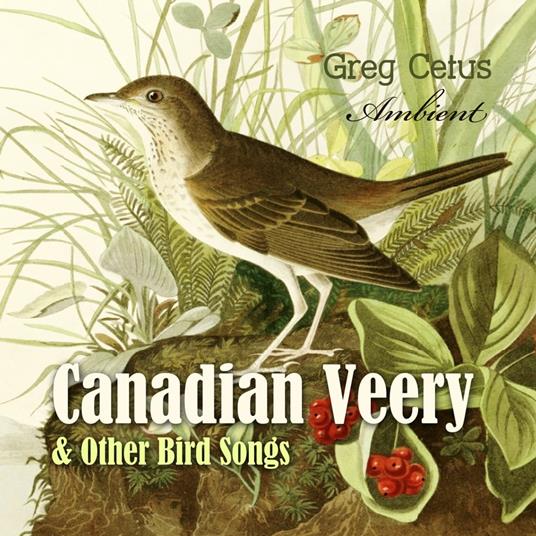 Canadian Veery and Other Bird Songs