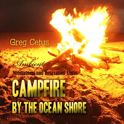 Campfire By The Ocean Shore