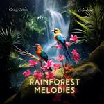 Rainforest Melodies