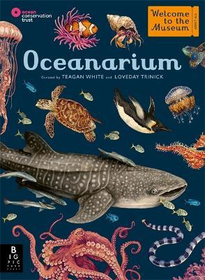 Oceanarium - Loveday Trinick - cover
