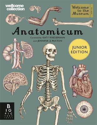 Anatomicum Junior - Jennifer Z Paxton - cover