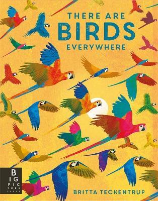 There are Birds Everywhere - Camilla De La Bedoyere - cover
