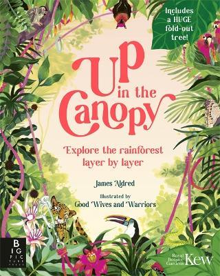 Up in the Canopy: Explore the Rainforest, Layer by Layer - James Aldred - cover