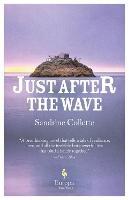 Just After the Wave - Sandrine Collette - cover