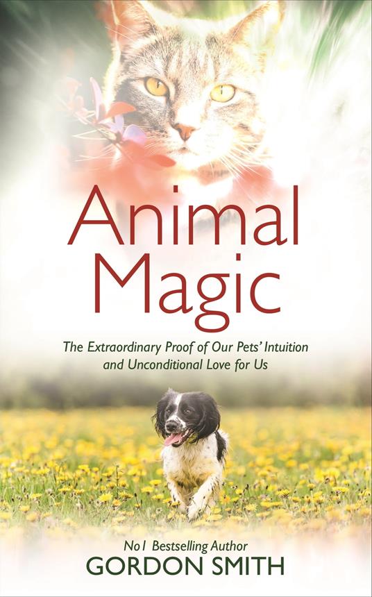 Animal Magic