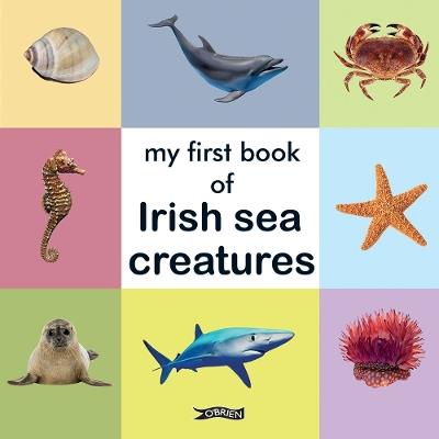 My First Book of Irish Sea Creatures - cover