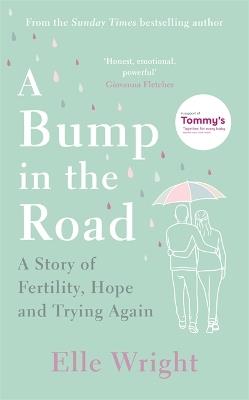 A Bump in the Road: A Story of Fertility, Hope and Trying Again - Elle Wright - cover