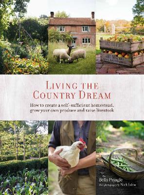 Living the Country Dream: How to Create a Self-Sufficient Homestead, Grow Your Own Produce and Raise Livestock - Bella Ivins,Nick Ivins - cover