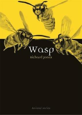 Wasp - Richard Jones - cover