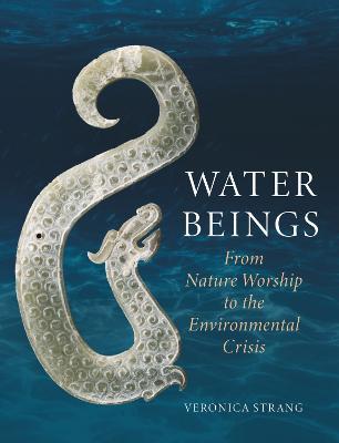 Water Beings: From Nature Worship to the Environmental Crisis - Veronica Strang - cover