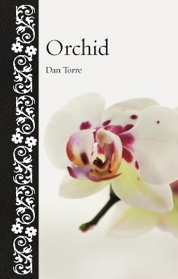 Orchid - Dan Torre - cover