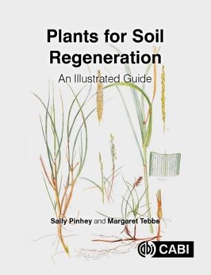 Plants for Soil Regeneration: An Illustrated Guide - Sally Pinhey,Margaret Tebbs - cover