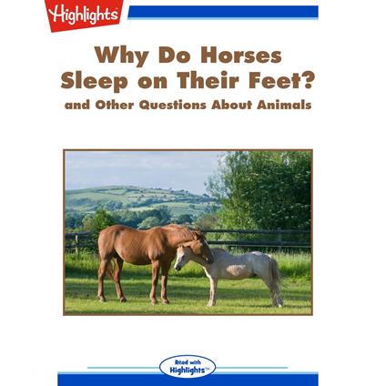 Why Do Horses Sleep on Their Feet?