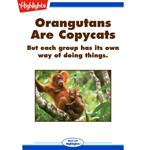 Orangutans Are Copycats