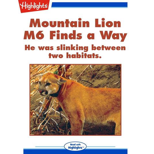 Mountain Lion M6 Finds a Way