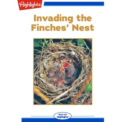 Invading the Finches' Nest