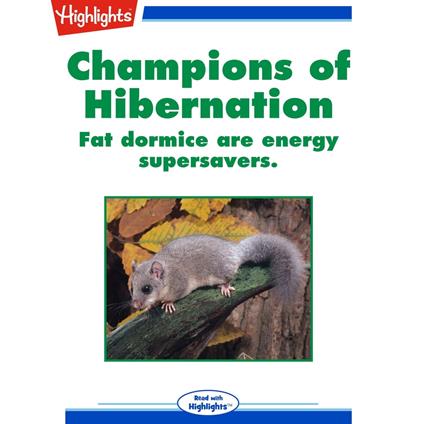 Champions of Hibernation