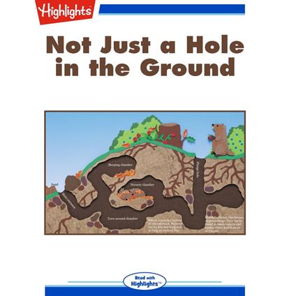 Not Just a Hole in the Ground