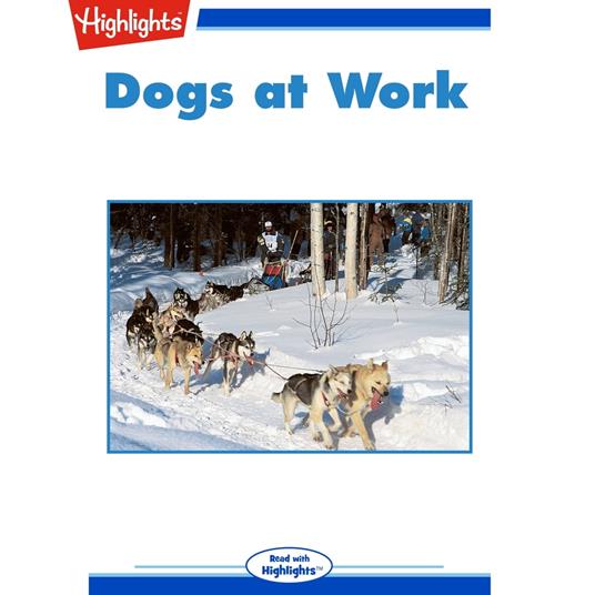 Dogs at Work