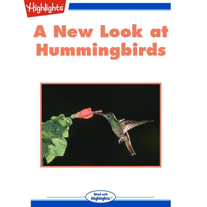 New Look at Hummingbirds, A