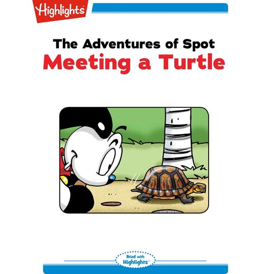 Meeting a Turtle