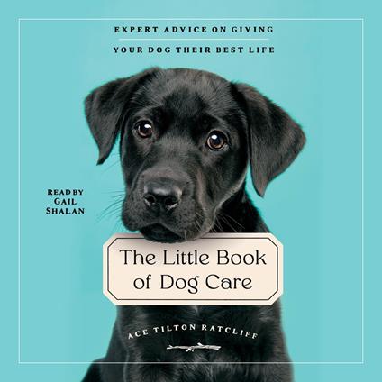 The Little Book of Dog Care