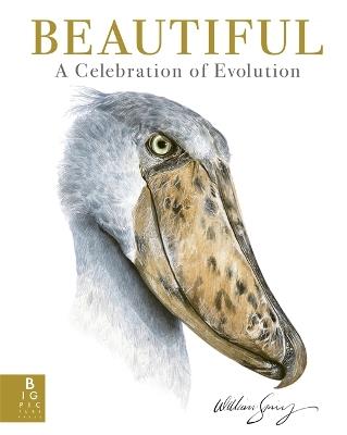 Beautiful: A Celebration of Evolution - William Spring - cover