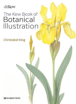 The Kew Book of Botanical Illustration (paperback edition) - Christabel King - cover