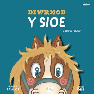 Diwrnod y Sioe / Show Day - Llenwedd Lawlor - cover