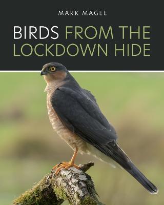 Birds From The Lockdown Hide - Mark Magee - cover