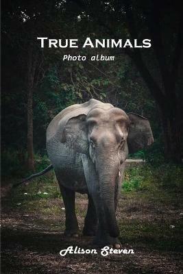 True Animals: Photo album - Alison Steven - cover