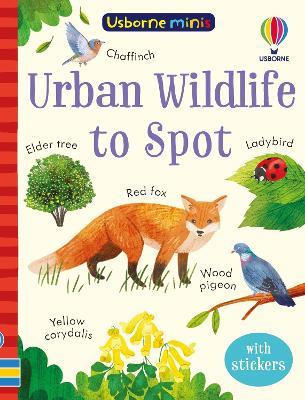 Urban Wildlife to Spot - Kate Nolan - cover