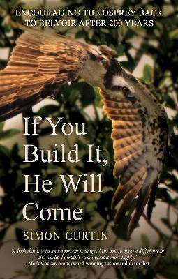 If You Build It, He Will Come - Simon Curtin - cover
