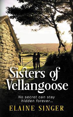 Sisters of Vellangoose - Elaine Singer - cover