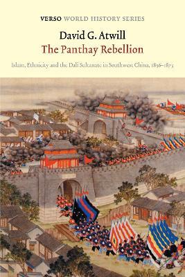 The Panthay Rebellion: Islam, Ethnicity and the Dali Sultanate in Southwest China, 1856-1873 - David G. Atwill - cover