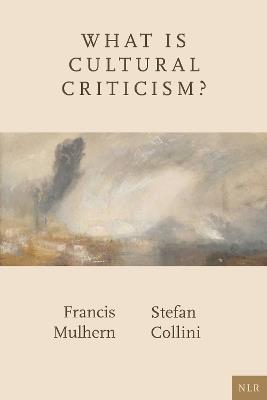 What Is Cultural Criticism? - Francis Mulhern,Stefan Collini - cover
