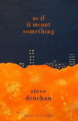 As if it Meant Something - Steve Denehan - cover