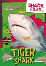 Tiger Shark