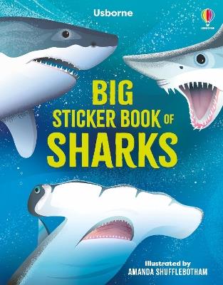 Big Sticker Book of Sharks - Alice James - cover