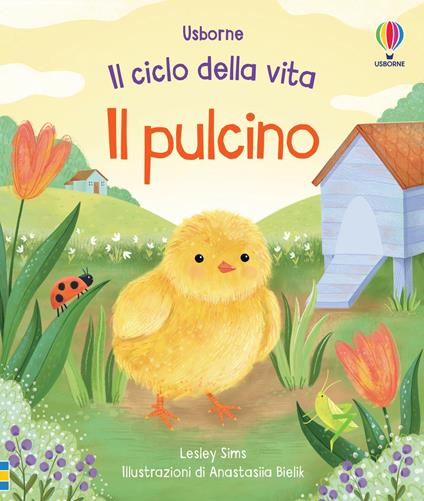 Il pulcino. Ediz. a colori - Lesley Sims - copertina