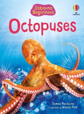 Beginners Octopuses - James Maclaine - cover