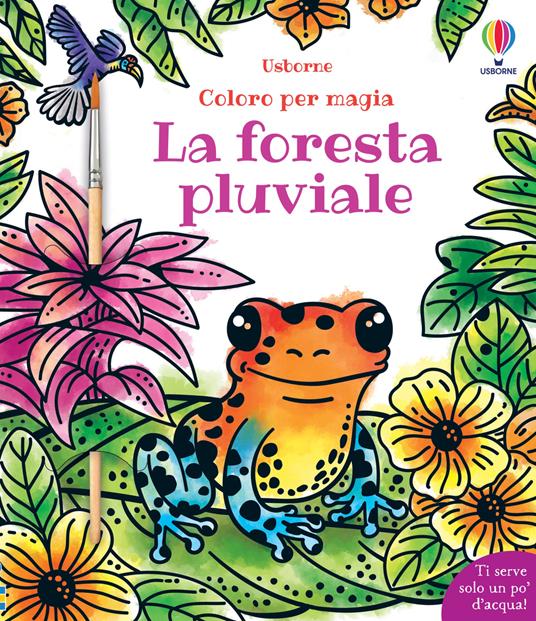 Foresta pluviale. Con pennellino - Sam Baer - copertina