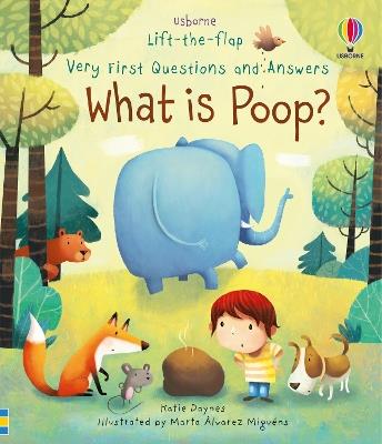 Very First Questions and Answers What is poop? - Katie Daynes - cover