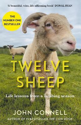 Twelve Sheep: Life lessons from a lambing season - John Connell - cover