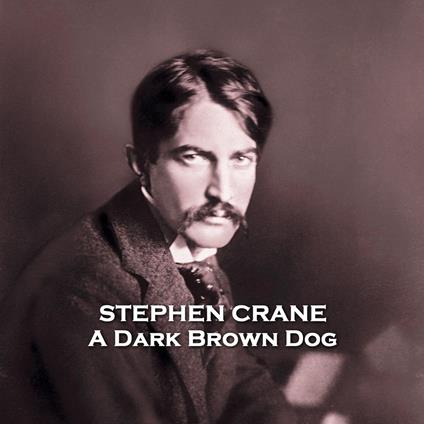 Dark Brown Dog, A