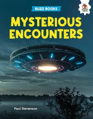 Mysterious Encounters - Paul Stevenson - cover