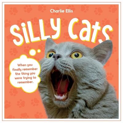 Silly Cats: A Ridiculous Collection of the World's Goofiest Cats and Most Relatable Memes - Summersdale Publishers - cover