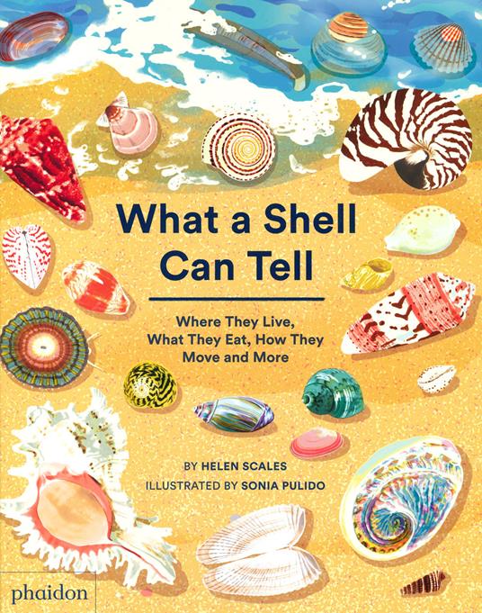 What a shell can tell. Where they live, what they eat, how they move and more - Helen Scales - copertina