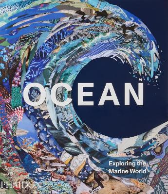 Ocean. Exploring the marine world. Ediz. illustrata - copertina