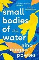 Small Bodies of Water